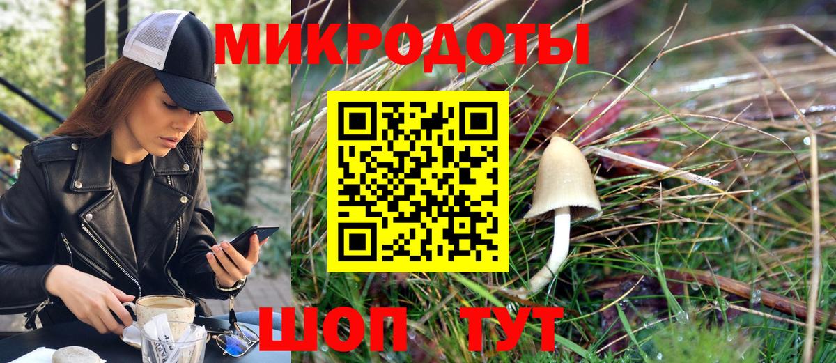 Вышний Волочёк  Галлюциногенные грибы прущие грибы  Вход с VPN 