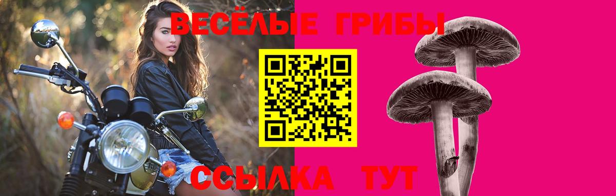 Галлюциногенные грибы мухоморы Вышний Волочёк